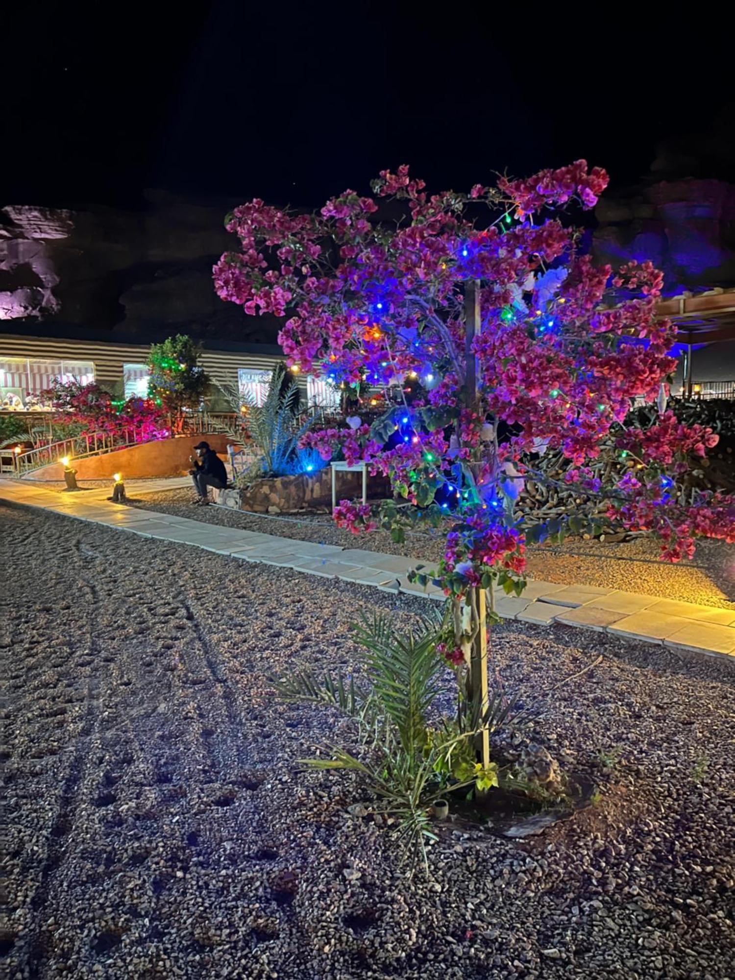 Magic Rum Hussen Ram Vadisi Dış mekan fotoğraf